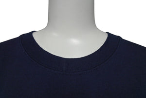 STUSSY リラックス ステューシー 半袖Ｔシャツ BASIC STÜSSY TEE フィット ネイビー コットン サイズL 美品 中古 4c075626 