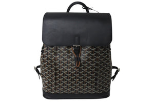 GOYARD ゴヤール アルパン バックパックMM リュック ALPIN2MMLTY01CL01P ブラック PVC レザー シルバー金具 美品 中古 4b000005