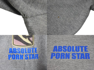 VINTAGE ヴィンテージ 90's PORN STAR ポーンスター 半袖Tシャツ オールドスケート アダルトプリント グレー 良品 中古 4b001532 VINTAGE ヴィンテージ 90's PORN STAR ポーンスター 半袖Tシャツ