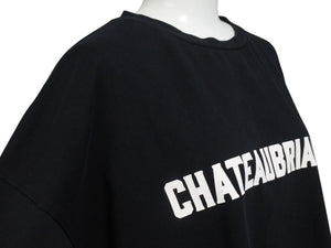 極美品 CHATEAUBRIAND シャトーブリアン WAGYU MAFIA 和牛マフィア ロゴプリント Ｔシャツ コットン ブラック サイズL 中古 4b002508