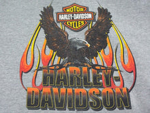 Load image into Gallery viewer, HARLEY DAVIDSON ハーレーダビッドソン ノースリーブTシャツ COLONIAL グレー ブラウン レッド イエロー サイズ2XL 美品 中古 4b003370