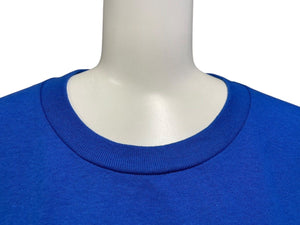 極美品 KANYE WEST THE COLLEGE DROP OUT カニエ ウェスト ザ コレッジ ドロップアウト 半袖Tシャツ サイズ XL ブルー 中古 4c071131