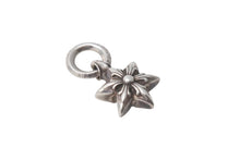 Load image into Gallery viewer, CHROME HEARTS クロムハーツ PDT STAR 6ポイントスター ペンダント ネックレストップ 5.844g シルバー925 美品 中古 4c071376