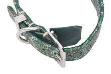 Load image into Gallery viewer, GOYARD Pet Collar and Lead, Herringbone Pattern, Green PVC Leather, Silver Hardware, Excellent Condition, Pre-Owned, Item Number 4c072587 