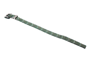 GOYARD Pet Collar and Lead, Herringbone Pattern, Green PVC Leather, Silver Hardware, Excellent Condition, Pre-Owned, Item Number 4c072587 