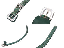 Load image into Gallery viewer, GOYARD Pet Collar and Lead, Herringbone Pattern, Green PVC Leather, Silver Hardware, Excellent Condition, Pre-Owned, Item Number 4c072587 