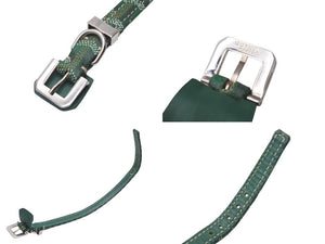 GOYARD Pet Collar and Lead, Herringbone Pattern, Green PVC Leather, Silver Hardware, Excellent Condition, Pre-Owned, Item Number 4c072587 