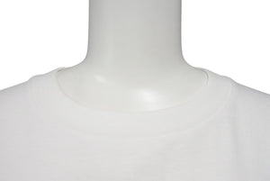 極美品 A BATHING APE アベイシングエイプ 29th Anniversary Tシャツ 29周年記念Tシャツ ホワイト サイズL 中古 4c073890 