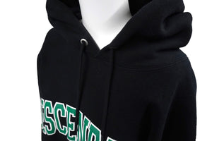 DESCENDANT ディセンダント TEAM HOODED SWEATSHIRT チームフーデッドスウェットシャツ サイズ 2 中古 ブラック グリーン 58732