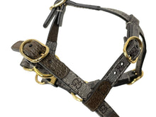 Load image into Gallery viewer, 極美品 GUCCI グッチ 犬用ハーネス XSサイズ ドッグ 692965 GG PVC レザー ベージュ ゴールド金具 中古 62975