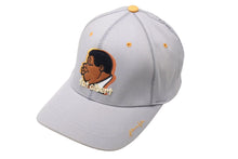 Load image into Gallery viewer, PLATINUM FUBU 90s00s fat albert プラティナム フブ 90年代 キャップ ポリエステル コットン グレー イエロー 美品 中古 67468