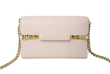 Load image into Gallery viewer, 新品未使用 Delvaux デルヴォー ポシェット タンペート ショルダーバッグ ベビーピンク ゴールド金具 中古 67477