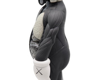 Load image into Gallery viewer, KAWS カウズ OPEN EDITION オープンエディション 2016 人体模型 MEDICOMTOY メディコムトイ アート グレー 美品 中古 36930