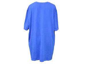 Carhartt カーハート APC アーペーセー FIRE 半袖Tシャツ T Shirt コットン ブルー サイズXXL 美品 中古 41607