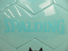 Load image into Gallery viewer, 未使用 Tiffany ティファニー×スポルディング サッカーボール キャットストリート限定 合成皮革 ティファニーブルー 42144