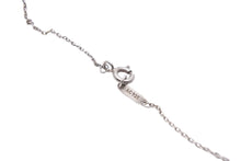 Load image into Gallery viewer, Tiffany ティファニー リターントゥ ティファニー ダブルハートタグ ネックレス 2.5g シルバー925 シルバー ブルー 美品 中古 44725