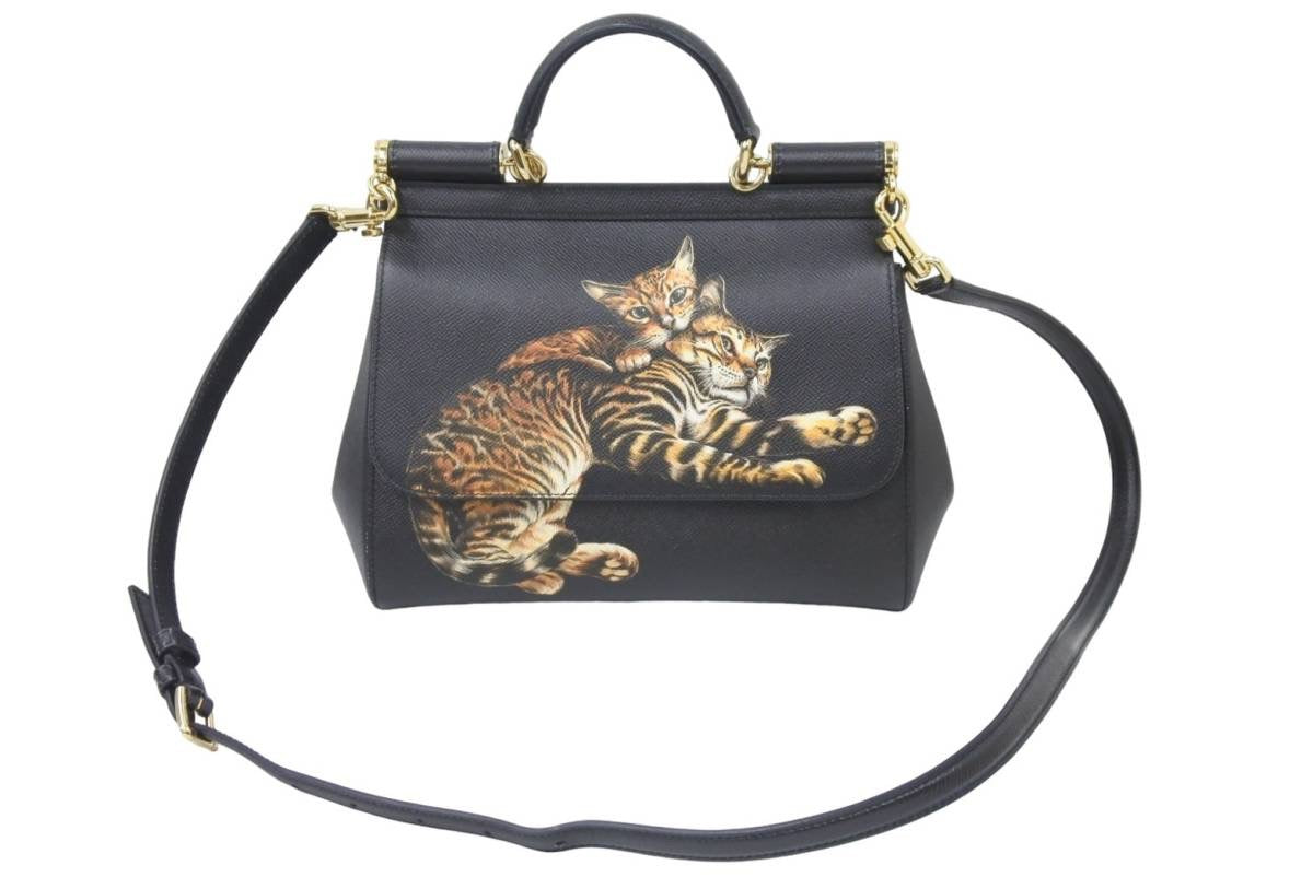 極美品 Dolce&Gabbana ドルチェアンドガッバーナ 2WAYバッグ 