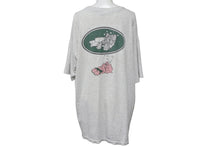 Load image into Gallery viewer, Beastie boys ビースティボーイズ 半袖Ｔシャツ バンドT バンT vintege ヴィンテージ グレー サイズ L 美品 中古 55372
