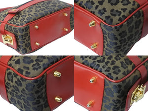 FENDI フェンディ ハンドバッグ 26353 レオパード ヒョウ柄 レッド ゴールド金具 美品 中古 55921 